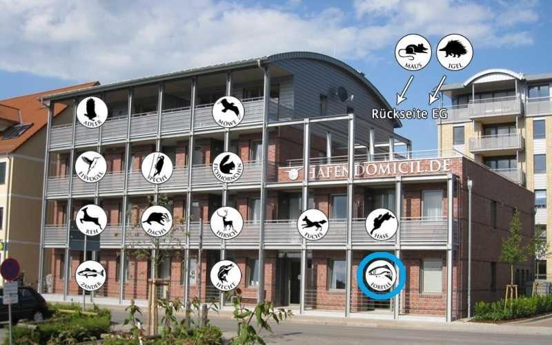 Hafendomicil Appartement Wh01 - Forelle Waren (Mueritz) Exterior foto